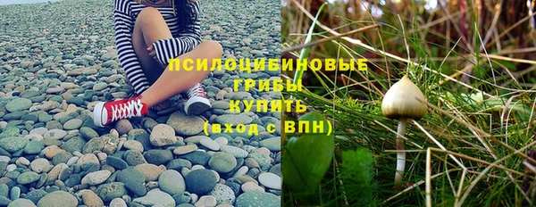MDMA Богородск