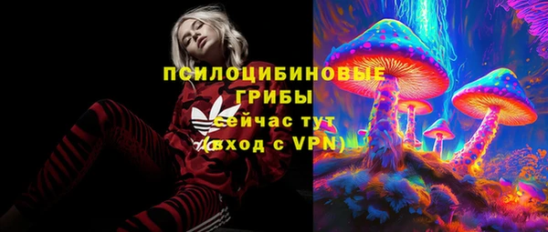 твердый Богородицк