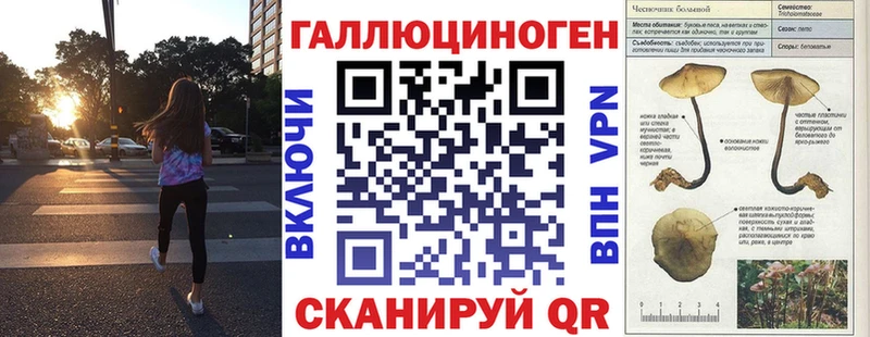 блэк спрут ТОР  Дагестанские Огни  Галлюциногенные грибы Psilocybe 